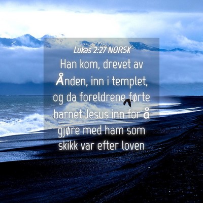 Picture 04 - Lukas 2:27 NORSK - Han kom, drevet av Ånden, inn i templet, og da - Bible Verse Picture