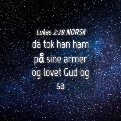 Picture 04 - Lukas 2:28 NORSK - da tok han ham på sine armer og lovet Gud og - Bible Verse Picture