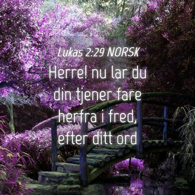 Picture 04 - Lukas 2:29 NORSK - Herre! nu lar du din tjener fare herfra i fred, - Bible Verse Picture