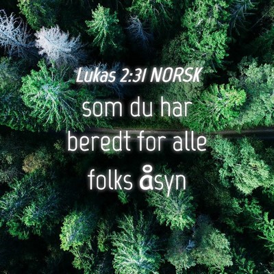 Picture 04 - Lukas 2:31 NORSK - som du har beredt for alle folks - Bible Verse Picture