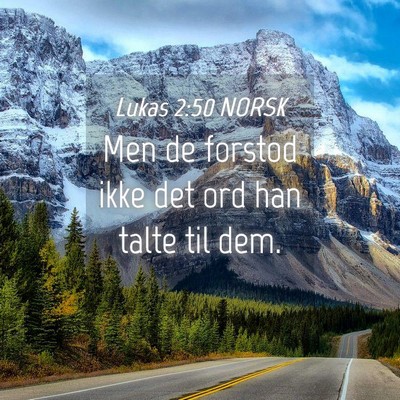 Picture 04 - Lukas 2:50 NORSK - Men de forstod ikke det ord han talte til - Bible Verse Picture