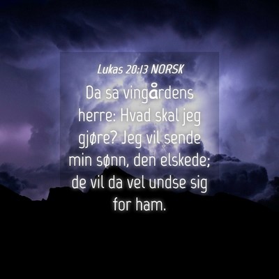 Picture 04 - Lukas 20:13 NORSK - Da sa vingårdens herre: Hvad skal jeg gjøre? - Bible Verse Picture