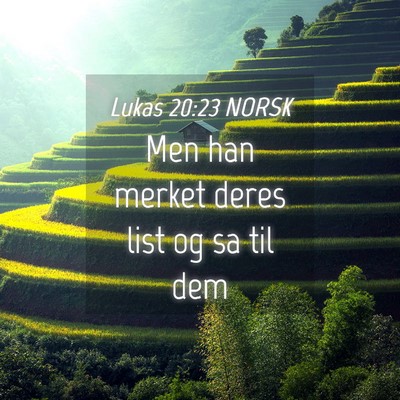 Picture 04 - Lukas 20:23 NORSK - Men han merket deres list og sa til - Bible Verse Picture