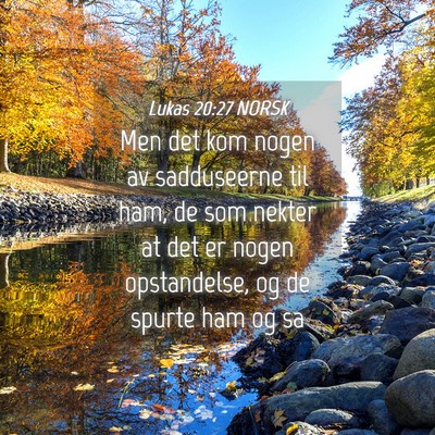 Picture 04 - Lukas 20:27 NORSK - Men det kom nogen av sadduseerne til ham, de som - Bible Verse Picture