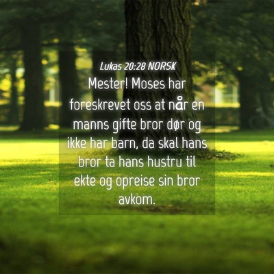 Picture 04 - Lukas 20:28 NORSK - Mester! Moses har foreskrevet oss at når en - Bible Verse Picture