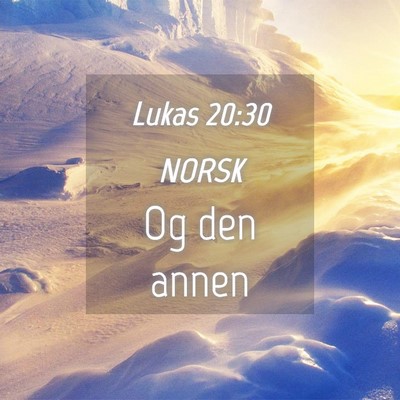 Picture 04 - Lukas 20:30 NORSK - Og den - Bible Verse Picture