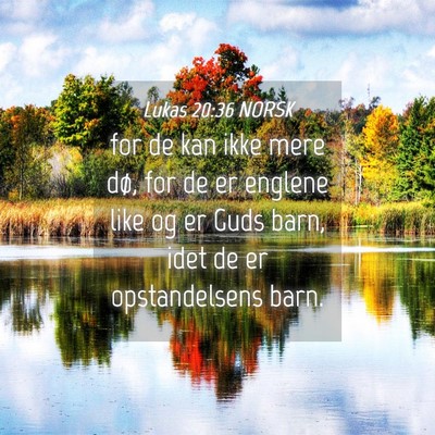 Picture 04 - Lukas 20:36 NORSK - for de kan ikke mere dø, for de er englene like - Bible Verse Picture