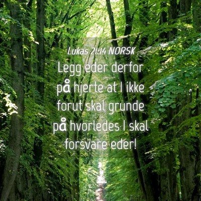 Picture 04 - Lukas 21:14 NORSK - Legg eder derfor på hjerte at I ikke forut skal - Bible Verse Picture