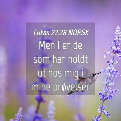 Picture 04 - Lukas 22:28 NORSK - Men I er de som har holdt ut hos mig i mine - Bible Verse Picture