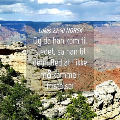 Picture 04 - Lukas 22:40 NORSK - Og da han kom til stedet, sa han til dem: Bed at - Bible Verse Picture