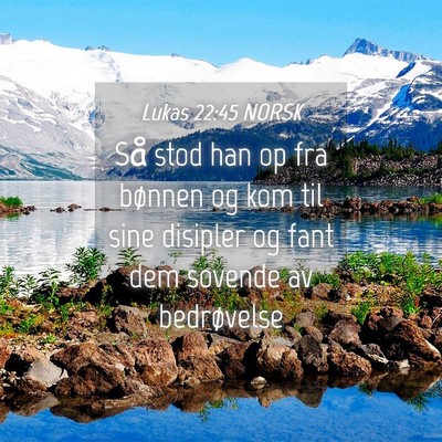 Picture 04 - Lukas 22:45 NORSK - Så stod han op fra bønnen og kom til sine - Bible Verse Picture