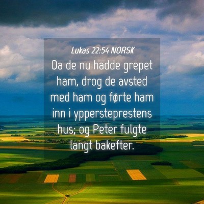 Picture 04 - Lukas 22:54 NORSK - Da de nu hadde grepet ham, drog de avsted med ham - Bible Verse Picture