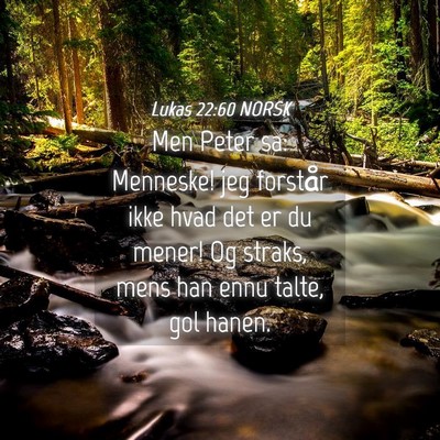 Picture 04 - Lukas 22:60 NORSK - Men Peter sa: Menneske! jeg forstår ikke hvad - Bible Verse Picture