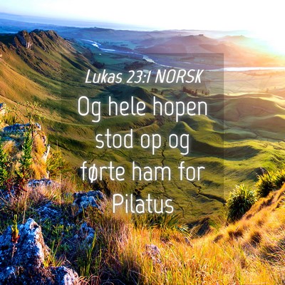 Picture 04 - Lukas 23:1 NORSK - Og hele hopen stod op og førte ham for - Bible Verse Picture