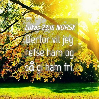 Picture 04 - Lukas 23:16 NORSK - Derfor vil jeg refse ham og så gi ham - Bible Verse Picture