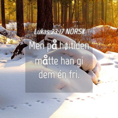 Picture 04 - Lukas 23:17 NORSK - Men på høitiden måtte han gi dem én - Bible Verse Picture