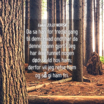 Picture 04 - Lukas 23:22 NORSK - Da sa han for tredje gang til dem: Hvad ondt har - Bible Verse Picture