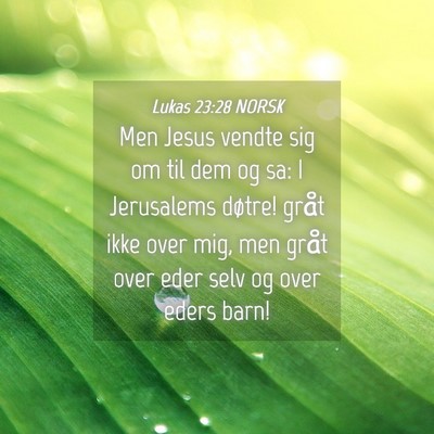 Picture 04 - Lukas 23:28 NORSK - Men Jesus vendte sig om til dem og sa: I - Bible Verse Picture