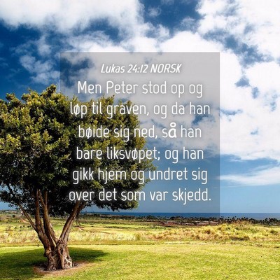 Picture 04 - Lukas 24:12 NORSK - Men Peter stod op og løp til graven, og da han - Bible Verse Picture