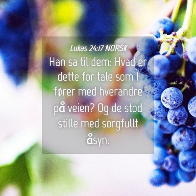 Picture 04 - Lukas 24:17 NORSK - Han sa til dem: Hvad er dette for tale som I - Bible Verse Picture