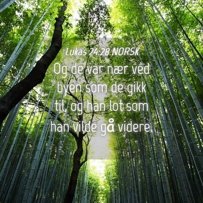 Picture 04 - Lukas 24:28 NORSK - Og de var nær ved byen som de gikk til, og han - Bible Verse Picture