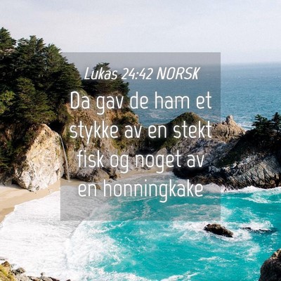 Picture 04 - Lukas 24:42 NORSK - Da gav de ham et stykke av en stekt fisk og noget - Bible Verse Picture