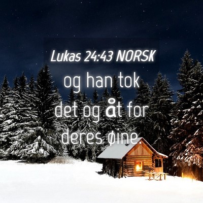 Picture 04 - Lukas 24:43 NORSK - og han tok det og åt for deres - Bible Verse Picture