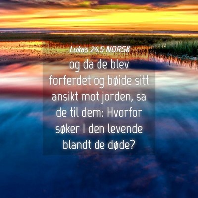 Picture 04 - Lukas 24:5 NORSK - og da de blev forferdet og bøide sitt ansikt mot - Bible Verse Picture