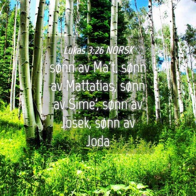 Picture 04 - Lukas 3:26 NORSK - sønn av Ma't, sønn av Mattatias, sønn av - Bible Verse Picture