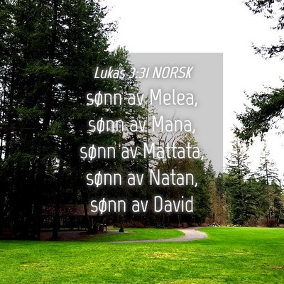 Picture 04 - Lukas 3:31 NORSK - sønn av Melea, sønn av Mana, sønn av Mattata, - Bible Verse Picture