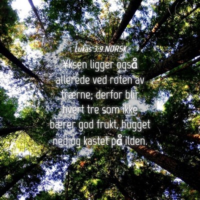 Picture 04 - Lukas 3:9 NORSK - ¥ksen ligger også allerede ved roten av - Bible Verse Picture