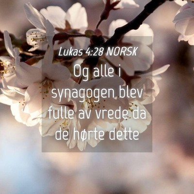 Picture 04 - Lukas 4:28 NORSK - Og alle i synagogen blev fulle av vrede da de - Bible Verse Picture