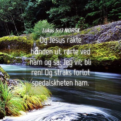 Picture 04 - Lukas 5:13 NORSK - Og Jesus rakte hånden ut, rørte ved ham og sa: - Bible Verse Picture