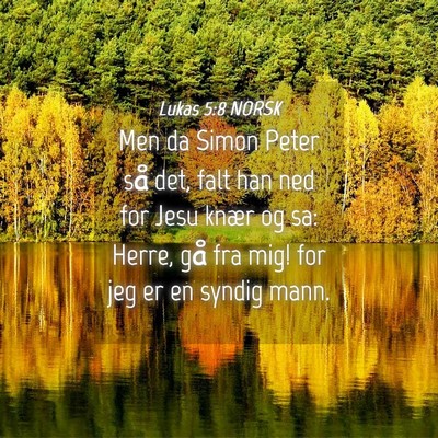 Picture 04 - Lukas 5:8 NORSK - Men da Simon Peter så det, falt han ned for Jesu - Bible Verse Picture
