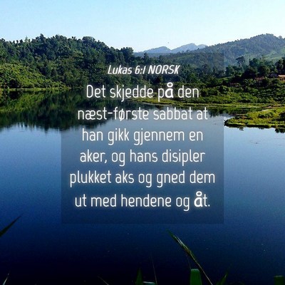 Picture 04 - Lukas 6:1 NORSK - Det skjedde på den næst-første sabbat at han - Bible Verse Picture