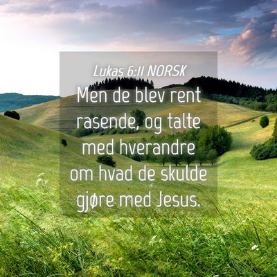 Picture 04 - Lukas 6:11 NORSK - Men de blev rent rasende, og talte med hverandre - Bible Verse Picture