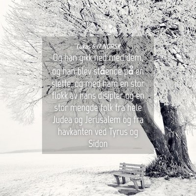 Picture 04 - Lukas 6:17 NORSK - Og han gikk ned med dem, og han blev stående på - Bible Verse Picture