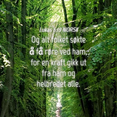Picture 04 - Lukas 6:19 NORSK - Og alt folket søkte å få røre ved ham; for en - Bible Verse Picture
