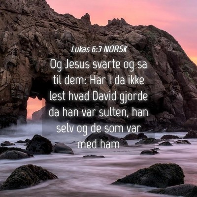 Picture 04 - Lukas 6:3 NORSK - Og Jesus svarte og sa til dem: Har I da ikke lest - Bible Verse Picture
