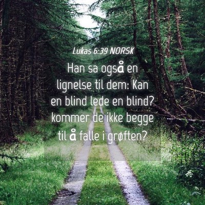 Picture 04 - Lukas 6:39 NORSK - Han sa også en lignelse til dem: Kan en blind - Bible Verse Picture