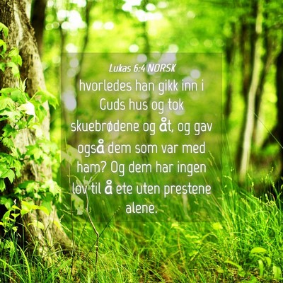 Picture 04 - Lukas 6:4 NORSK - hvorledes han gikk inn i Guds hus og tok - Bible Verse Picture