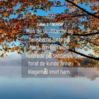 Picture 04 - Lukas 6:7 NORSK - Men de skriftlærde og fariseerne lurte på ham, - Bible Verse Picture