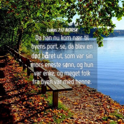 Picture 04 - Lukas 7:12 NORSK - Da han nu kom nær til byens port, se, da blev en - Bible Verse Picture