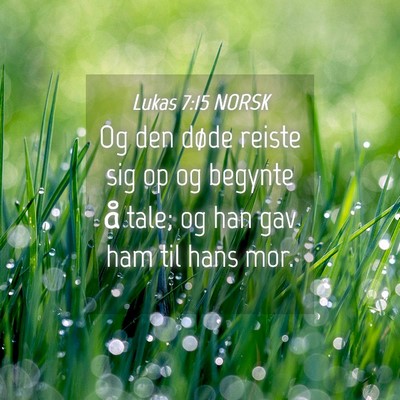 Picture 04 - Lukas 7:15 NORSK - Og den døde reiste sig op og begynte å tale; og - Bible Verse Picture