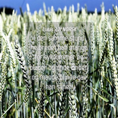 Picture 04 - Lukas 7:21 NORSK - I den samme stund helbredet han mange for - Bible Verse Picture