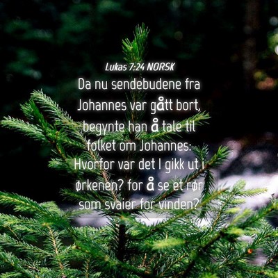 Picture 04 - Lukas 7:24 NORSK - Da nu sendebudene fra Johannes var gått bort, - Bible Verse Picture