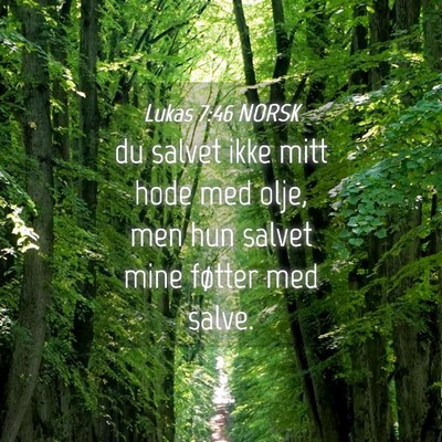 Picture 04 - Lukas 7:46 NORSK - du salvet ikke mitt hode med olje, men hun salvet - Bible Verse Picture