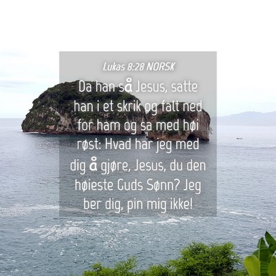 Picture 04 - Lukas 8:28 NORSK - Da han så Jesus, satte han i et skrik og falt - Bible Verse Picture