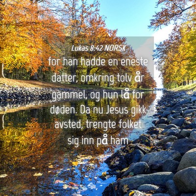 Picture 04 - Lukas 8:42 NORSK - for han hadde en eneste datter, omkring tolv år - Bible Verse Picture
