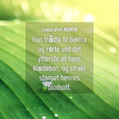 Picture 04 - Lukas 8:44 NORSK - hun trådte til bakfra og rørte ved det ytterste - Bible Verse Picture